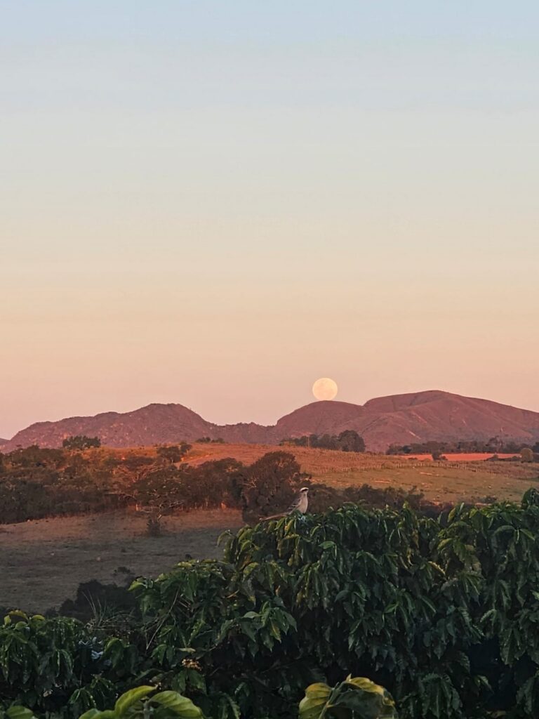 Paisagem da fazenda com serras ao fundo